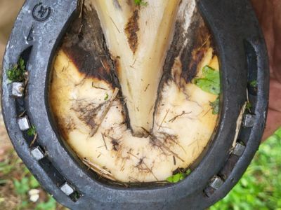 photo account presentation