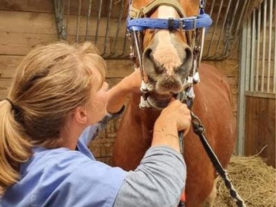 photo account presentation