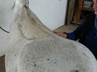 photo account presentation