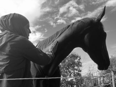 photo account presentation