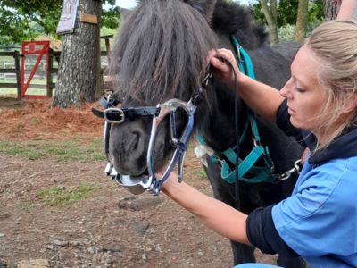 photo account presentation