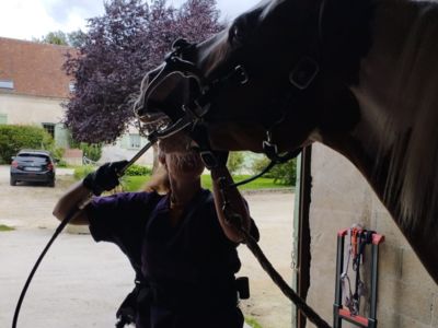 photo account presentation