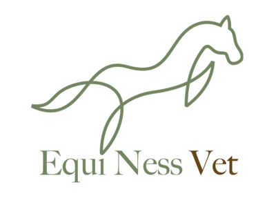 photo account presentation