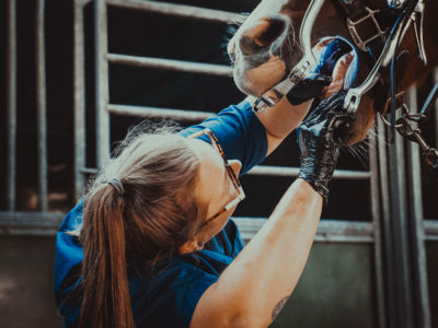 banner picture Boullay Ludivine