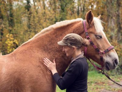 photo account presentation