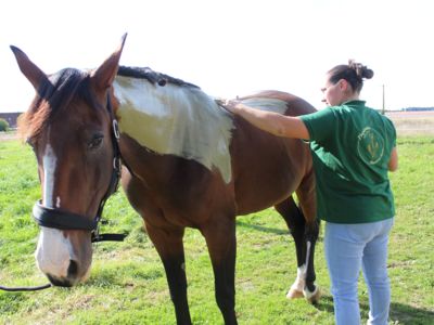 photo account presentation