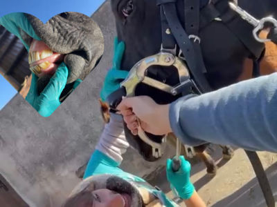 photo account presentation