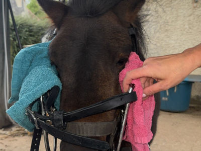 photo account presentation