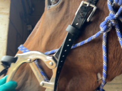 photo account presentation