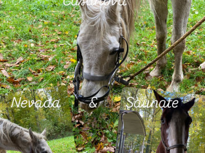 photo account presentation