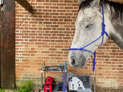 photo account presentation