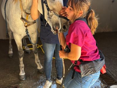 photo account presentation