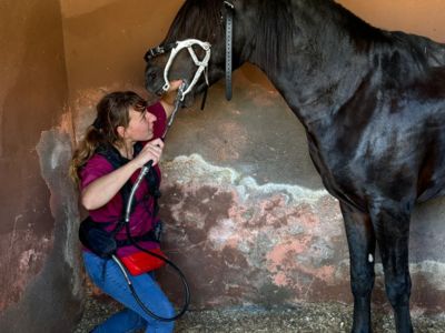 photo account presentation