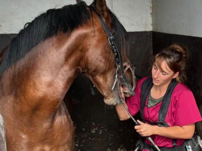 photo account presentation