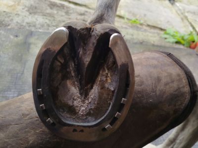 photo account presentation