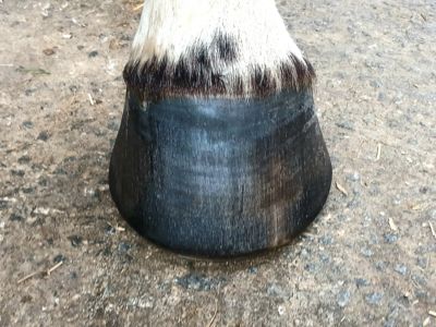 photo account presentation