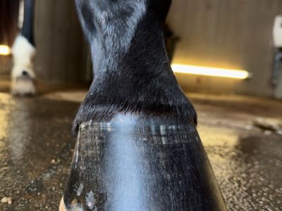 photo account presentation