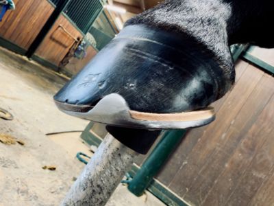 photo account presentation