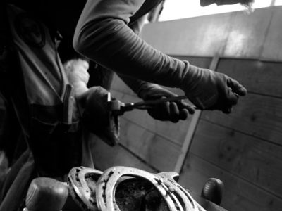 photo account presentation