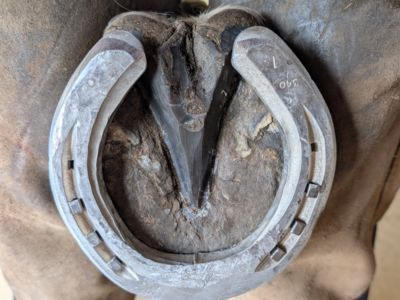 photo account presentation