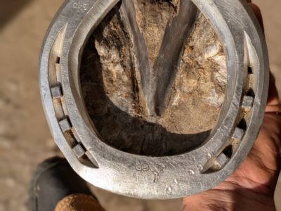 photo account presentation