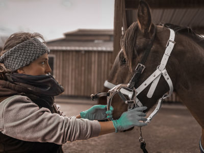 banner picture Oger Marine