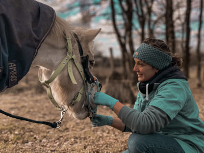 photo account presentation