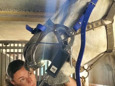 photo account presentation