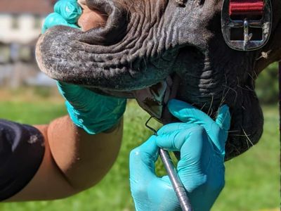 photo account presentation