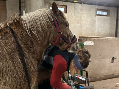 banner picture Simon Marieamelie