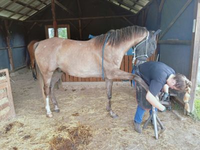 photo account presentation