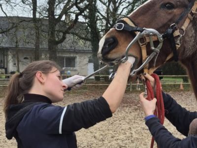 photo account presentation