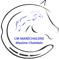 photo de profil Chatelain Maxime