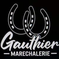 photo de profil Elvire Gauthier