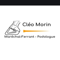 photo de profil Morin Cleo