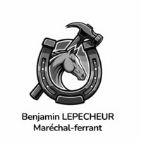photo de profil Benjamin Lepecheur