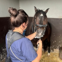 photo de profil Petit Flore