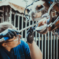 photo de profil Boullay Ludivine