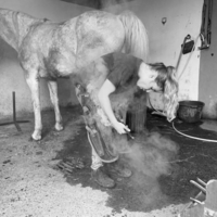 photo de profil Gabrielle Cosseron