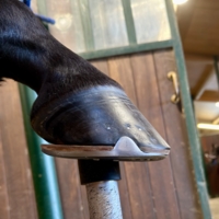 photo de profil Mateo Elian