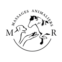 photo de profil Morgane Riehl