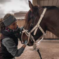 photo de profil Oger Marine