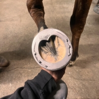 photo de profil Sanudo Remi