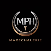 photo de profil Matthieu Pecout heitz