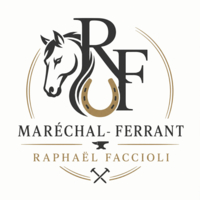 photo de profil Faccioli Raphael