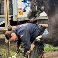 photo de profil Derycke Margot